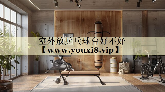 室外放乒乓球台好不好