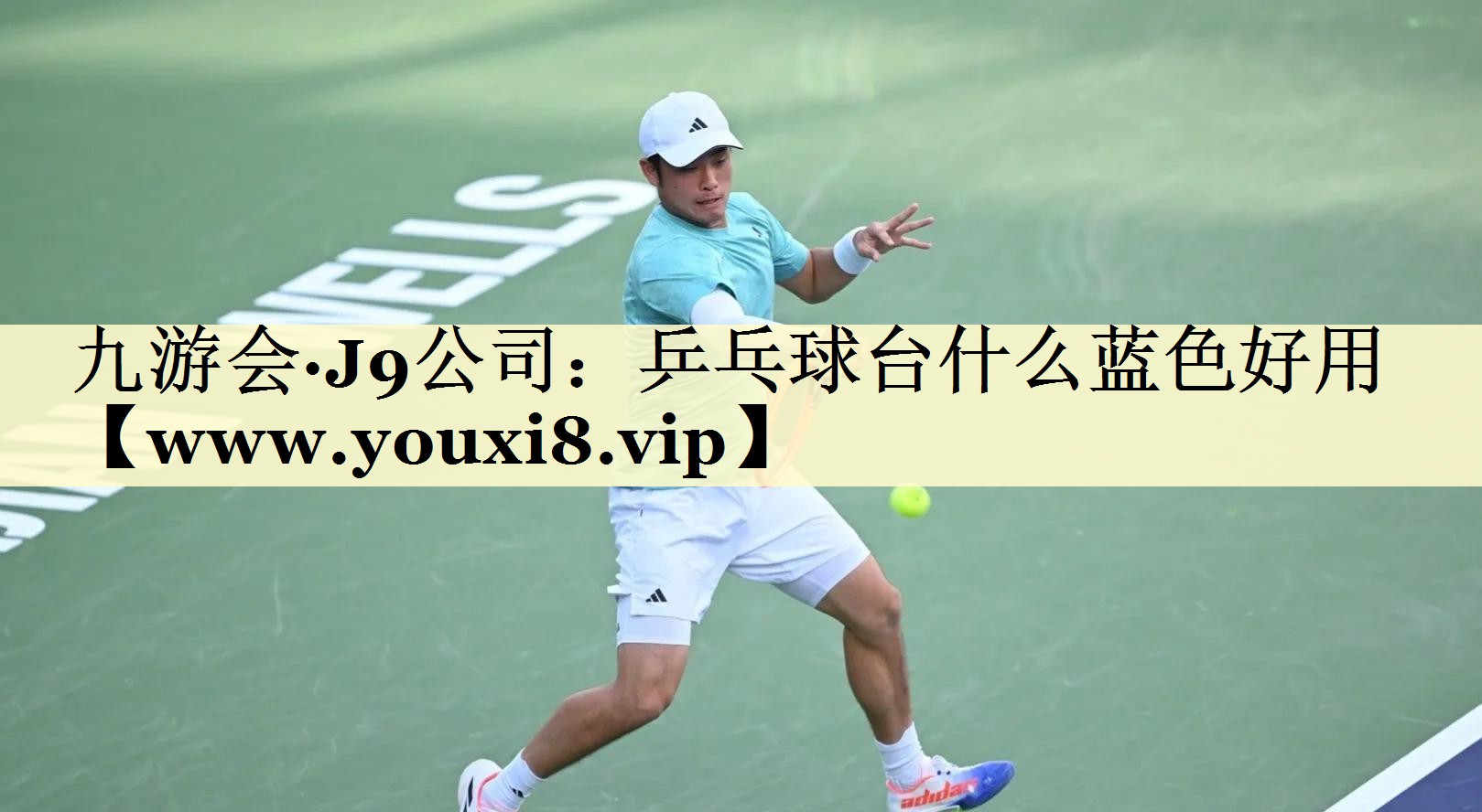 乒乓球台什么蓝色好用
