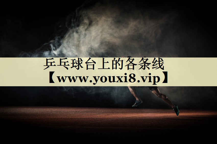 乒乓球台上的各条线