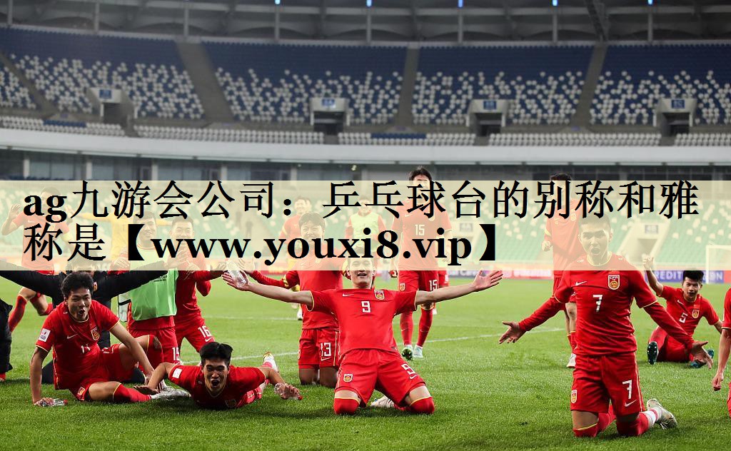 乒乓球台的别称和雅称是