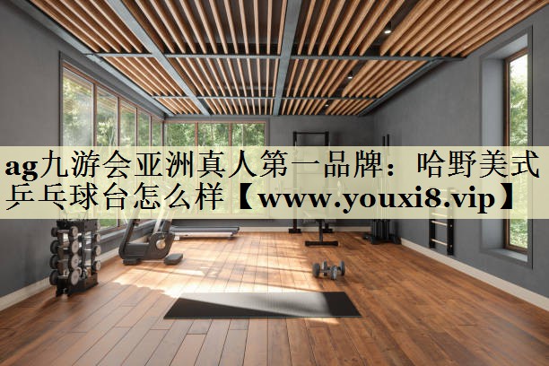 哈野美式乒乓球台怎么样
