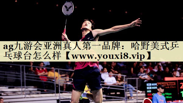 哈野美式乒乓球台怎么样