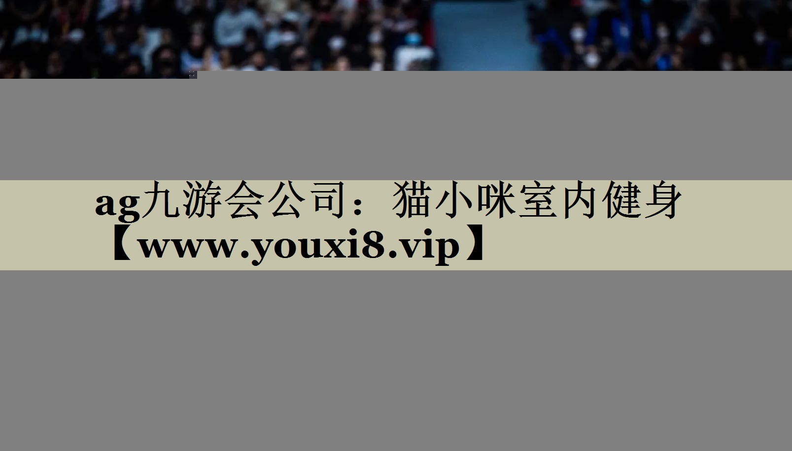 猫小咪室内健身