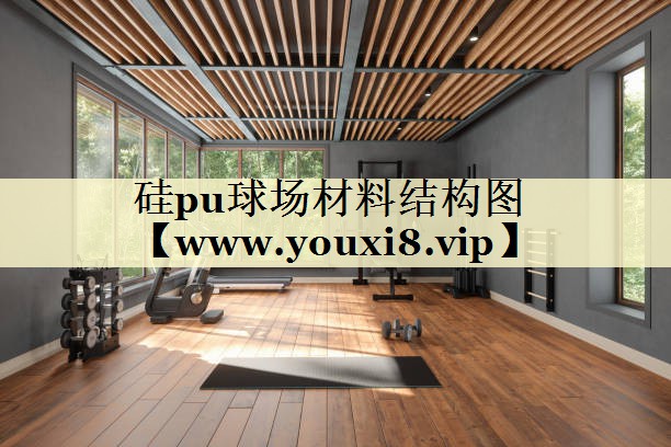硅pu球场材料结构图