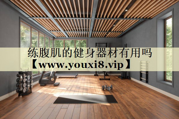 练腹肌的健身器材有用吗