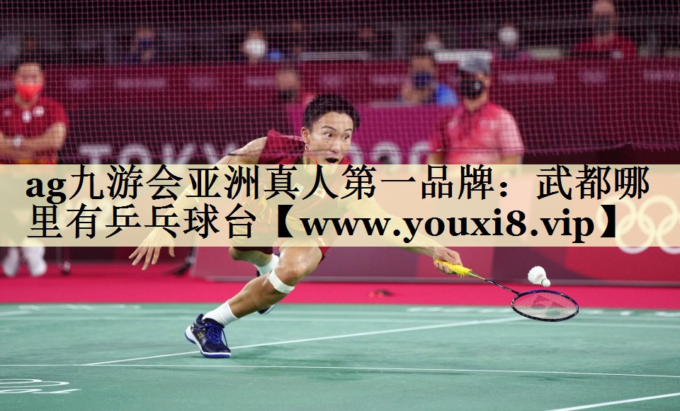 武都哪里有乒乓球台