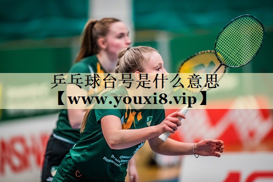乒乓球台号是什么意思