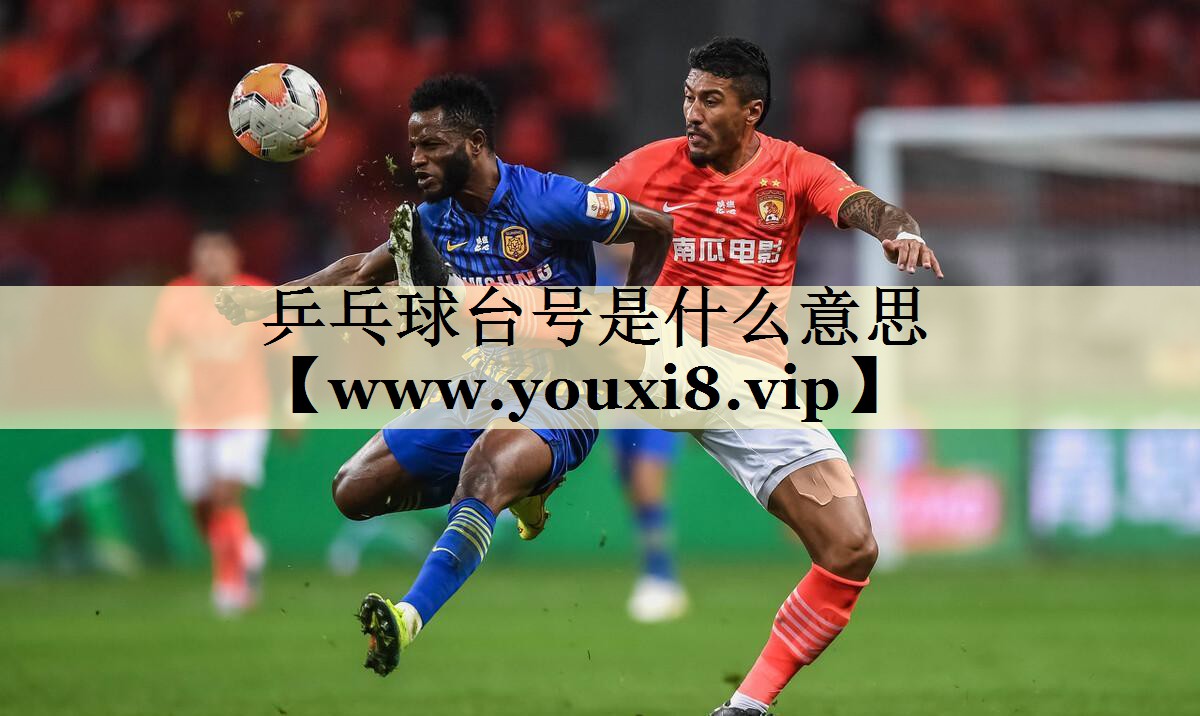乒乓球台号是什么意思
