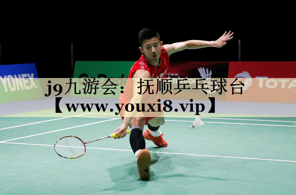 抚顺乒乓球台